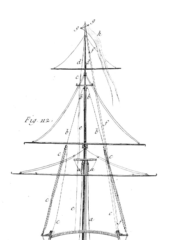Albero